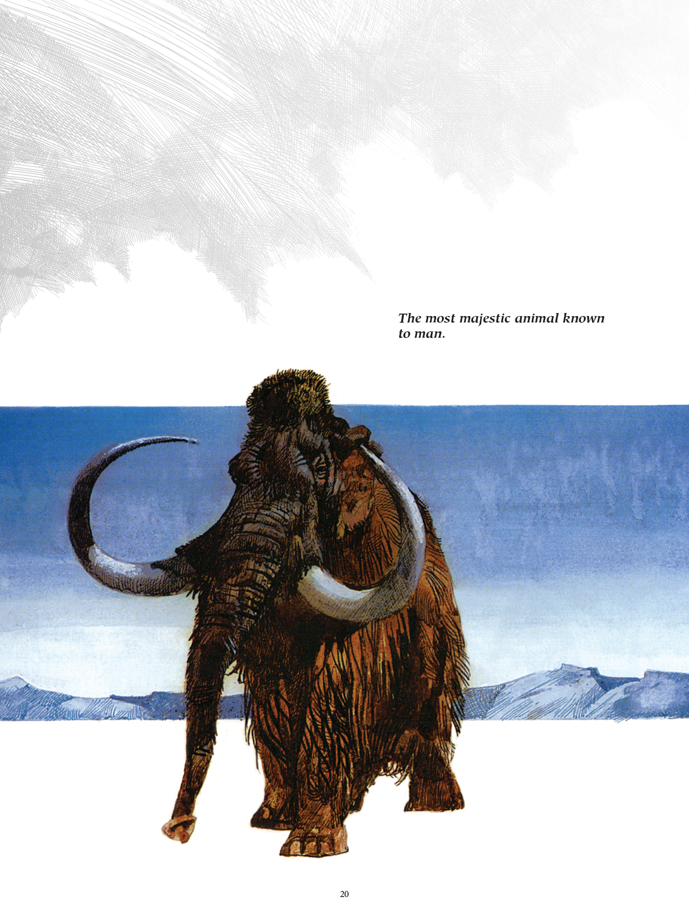THE TOPPI GALLERY: BESTIARY, by Sergio Toppi