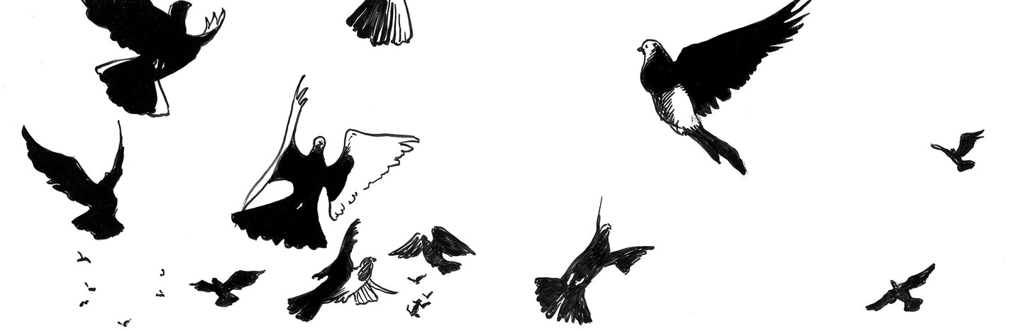 HUNCHBACK OF NOTRE DAME - Hardcover + Slipcase Upgrade