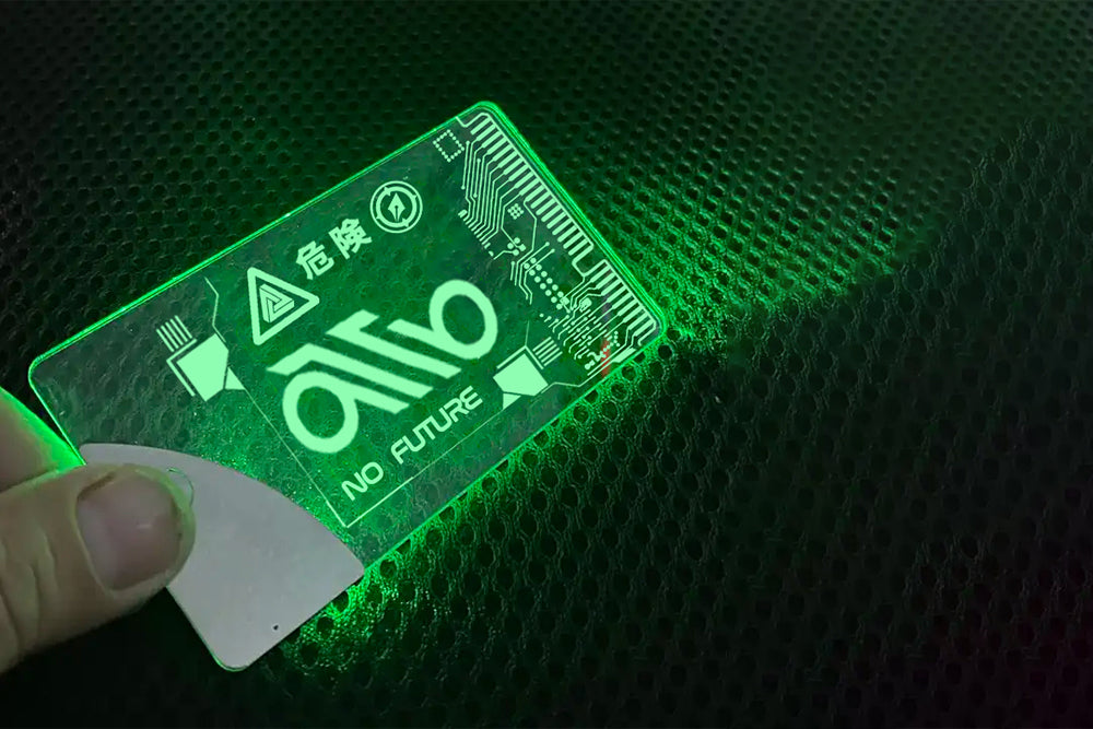 NO FUTURE, by Corbeyran and Jef (Limited Edition) + Bonuses