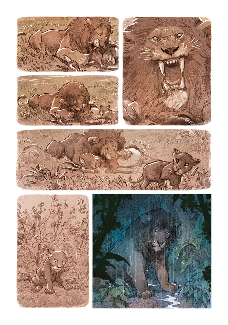 LOVE: THE LION, by Brrémaud & Bertolucci